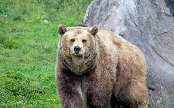 Gdzie spotkać się ze znajomymi Warszawa? Gdzie spotkać się ze znajomymi Warszawa?