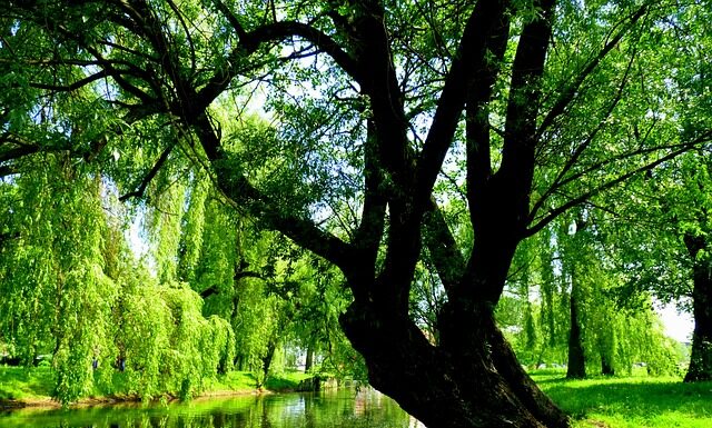 Gdzie najbliżej z Warszawy na Mazury? Gdzie najbliżej z Warszawy na Mazury?