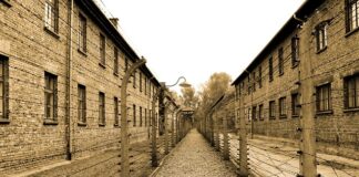 Czy do Auschwitz można wejść w spodniach z dziurami?