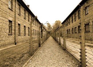 Czy do Auschwitz można wejść w spodniach z dziurami?