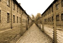 Ile trzeba mieć lat żeby wejść do Auschwitz? Ile trzeba mieć lat żeby wejść do Auschwitz?