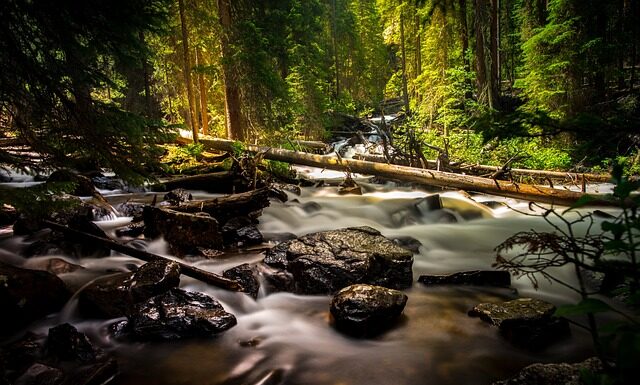 Gdzie kupić dobry wełniany płaszcz?