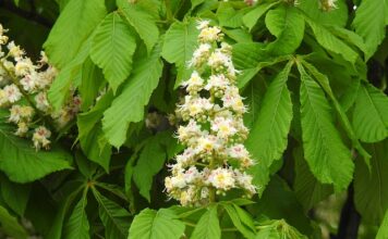 Co powiedzieć komuś przed maturą? Co powiedzieć komuś przed maturą?