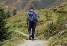 Czym się różni plecak trekkingowy od turystycznego?